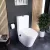   HD Echo White perem nélküli mély öblítésű íves monoblokkos WC alsó kifolyású, bidé funkcióval, compact "A" tetővel és matt fekete kiegészítőkkel + tartály