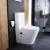   HD Echo White perem nélküli mély öblítésű íves monoblokkos WC alsó kifolyású, bidé funkcióval, compact "A" tetővel és matt fekete kiegészítőkkel + tartály
