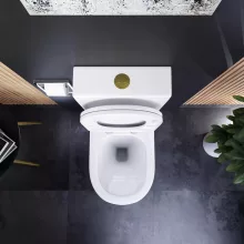 HD Dream Glossy White perem nélküli mély öblítésű íves monoblokkos WC alsó kifolyású, fényes arany nyomógombbal, tető nélkül + tartály