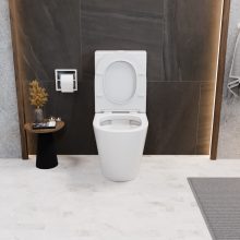 HD Dream Matt White perem nélküli mély öblítésű íves monoblokkos WC alsó kifolyású slim "P" tetővel és matt fehér nyomógombbal + tartály