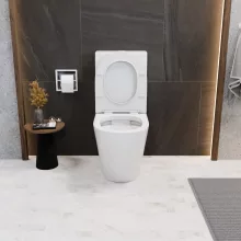 HD Dream Matt White perem nélküli mély öblítésű íves monoblokkos WC hátsó kifolyású tető nélkül + tartály