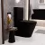   HD Dream Matt Black perem nélküli mély öblítésű íves fekete monoblokkos WC hátsó kifolyású compact "A" tetővel és fényes króm kiegészítőkkel + tartály