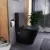   HD Echo Matt Black perem nélküli mély öblítésű íves monoblokkos WC hátsó kifolyású, bidé funkcióval, compact "A" tetővel és krómozott kiegészítőkkel + tartály