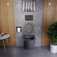 HD Slim "P" Matt Antracit WC tető fényes króm zsanérral