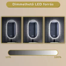 HD Light Black 50 cm széles fali ovális LED okostükör fekete slim kerettel, ambient világítással, érintőkapcsolóval, digitális órával és páramentesítő funkcióval