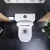  HD Dream Glossy White perem nélküli mély öblítésű íves monoblokkos WC hátsó kifolyású slim "A" tetővel és fényes króm kiegészítőkkel + tartály